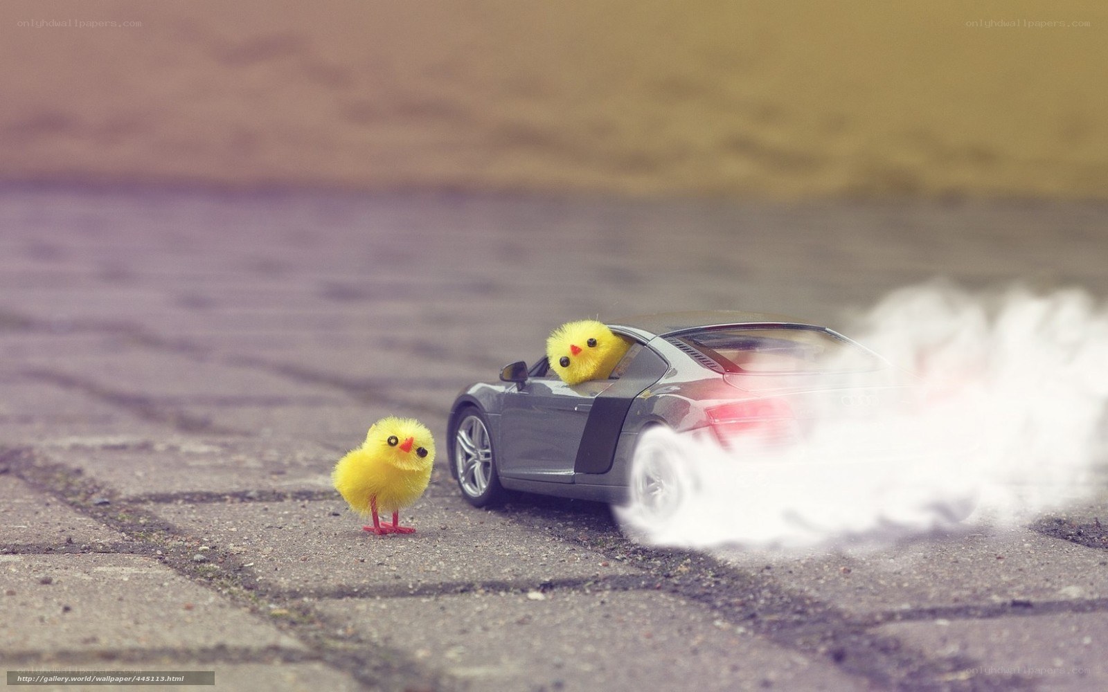 chickens and toy car