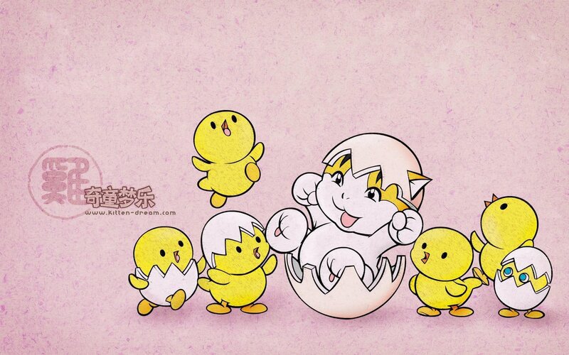 chickens hatching from eggs