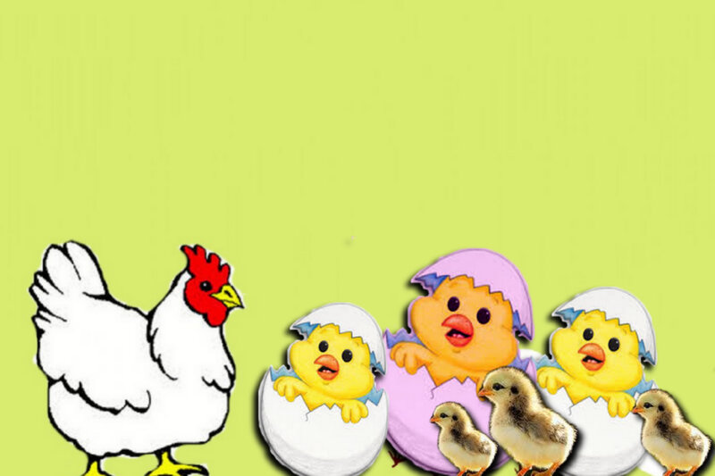 Chickens Hatching from Eggs — Green