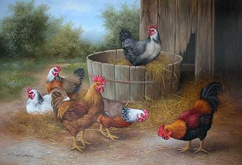 Chickens in a Barnyard — Brown, Peaceful