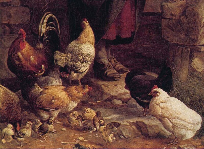 Chickens in a barnyard