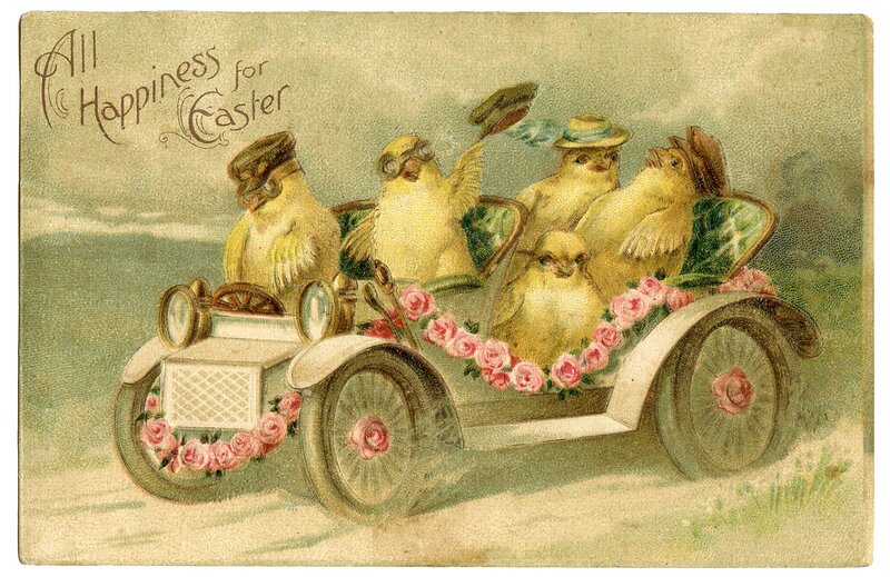 Chickens in a Car