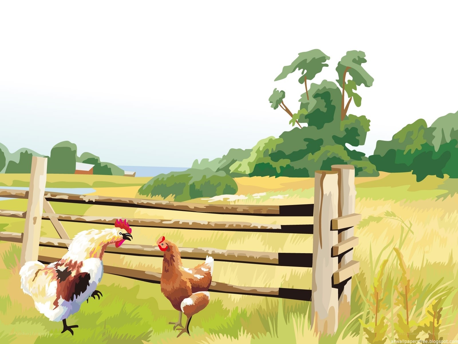 Chickens in a farm field