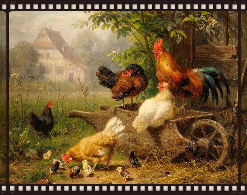 Chickens in a Farmyard