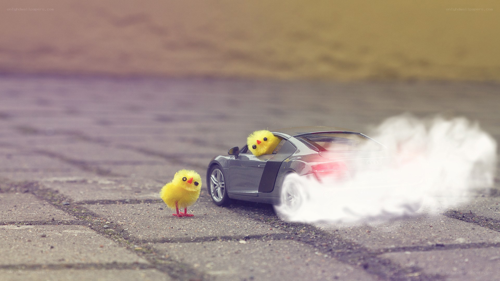 Chickens in a toy car