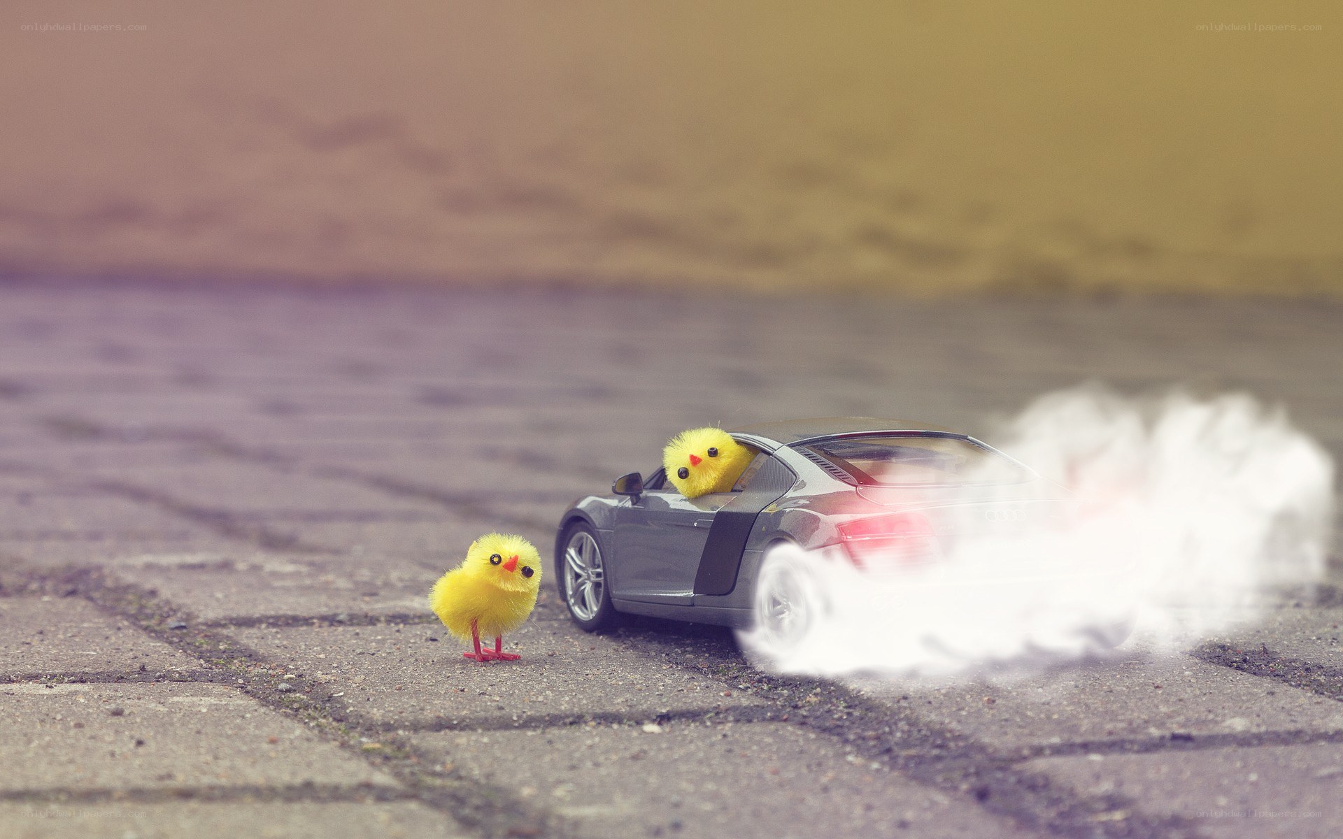 Chickens in a toy car