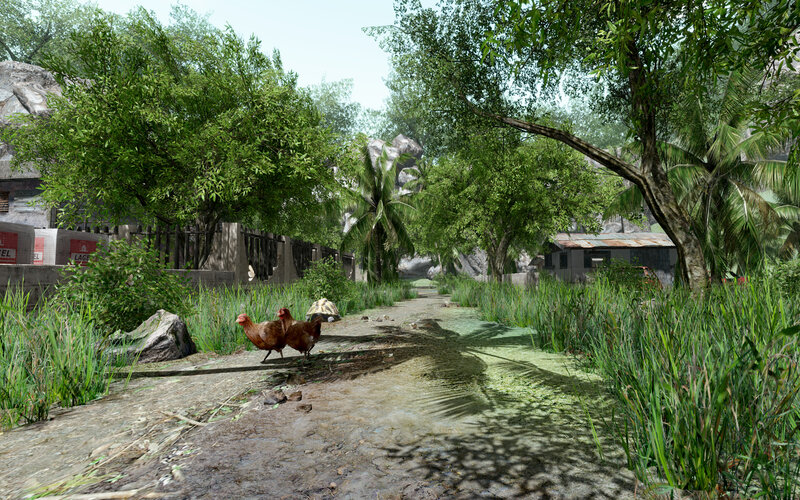 Chickens in a tropical village