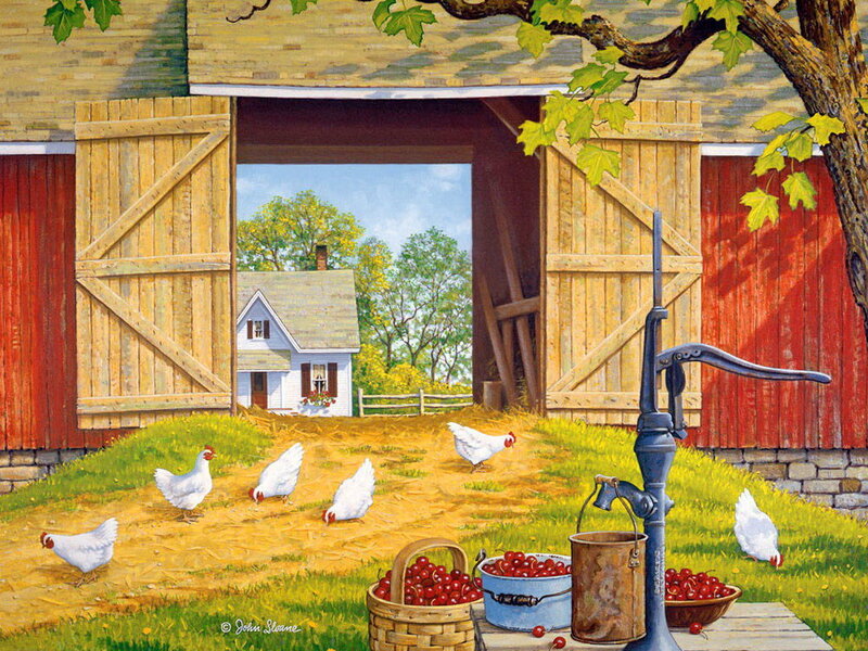 Chickens in Barnyard