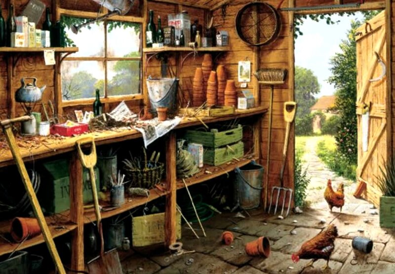 Chickens in Garden Shed