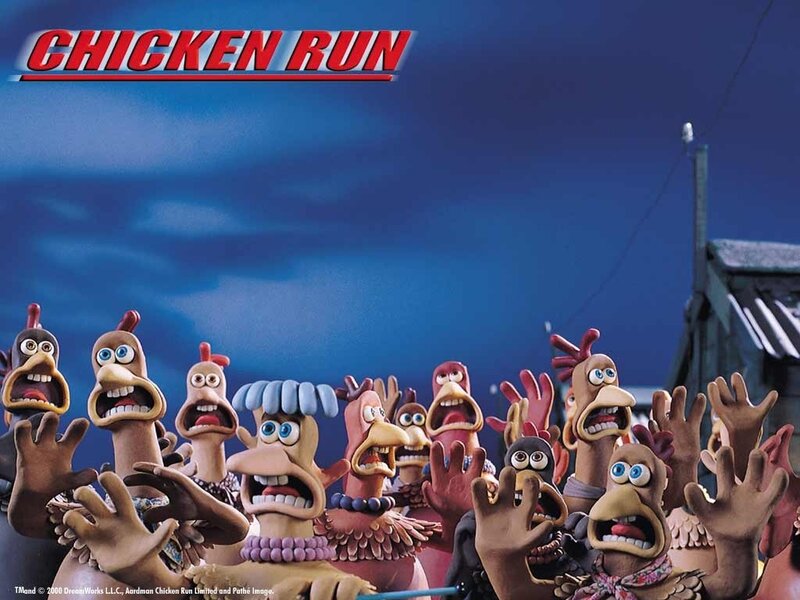 Chickens in Panic