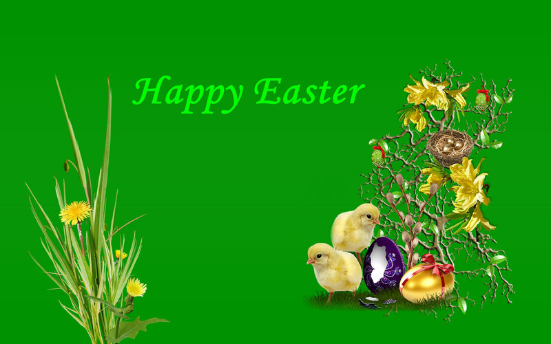 Chicks and Easter Eggs — Green