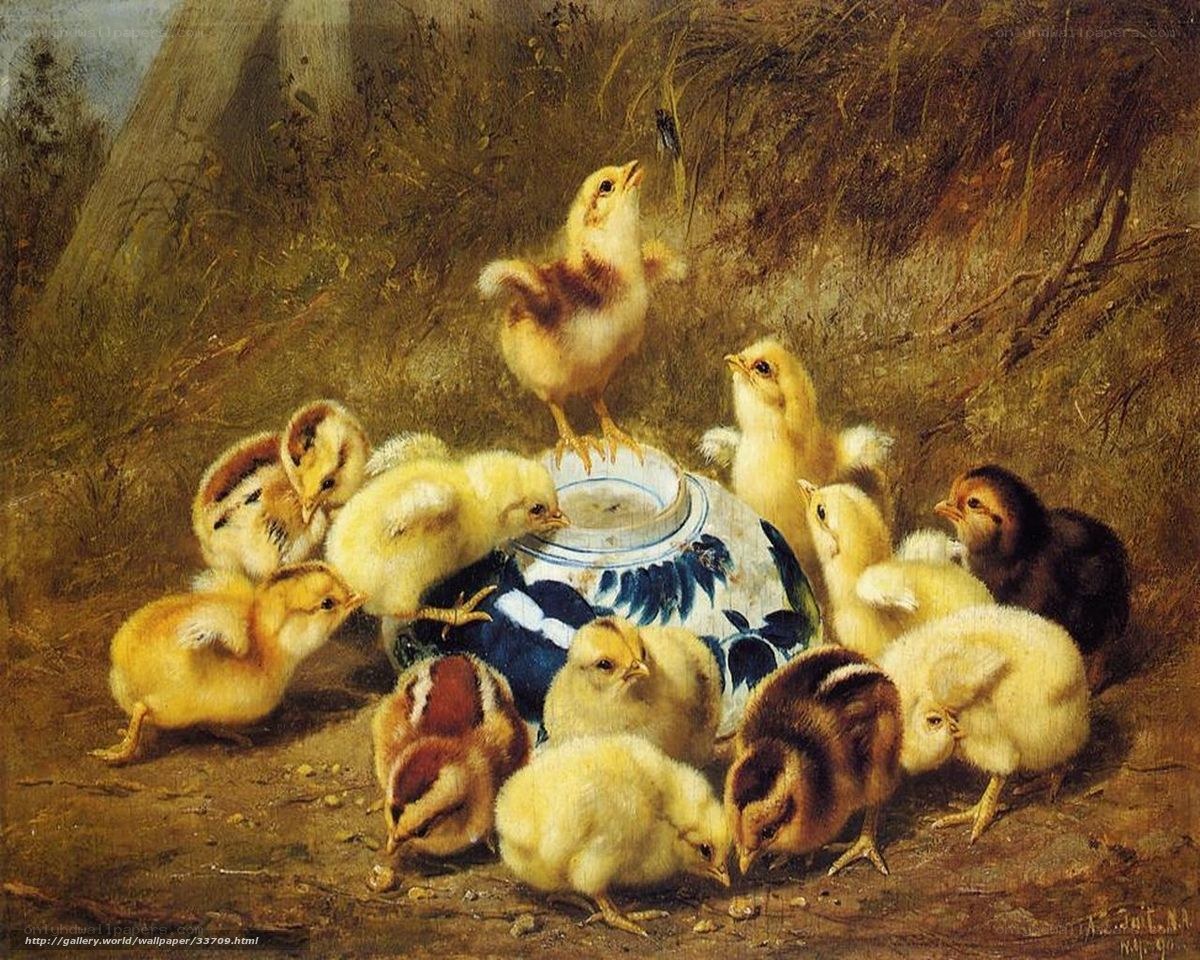 Chicks around a bowl