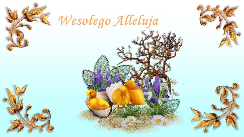 Chicks Hatching from Eggs — Light Blue