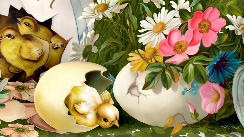 Chicks Hatching from Eggs — Yellow, Cheerful