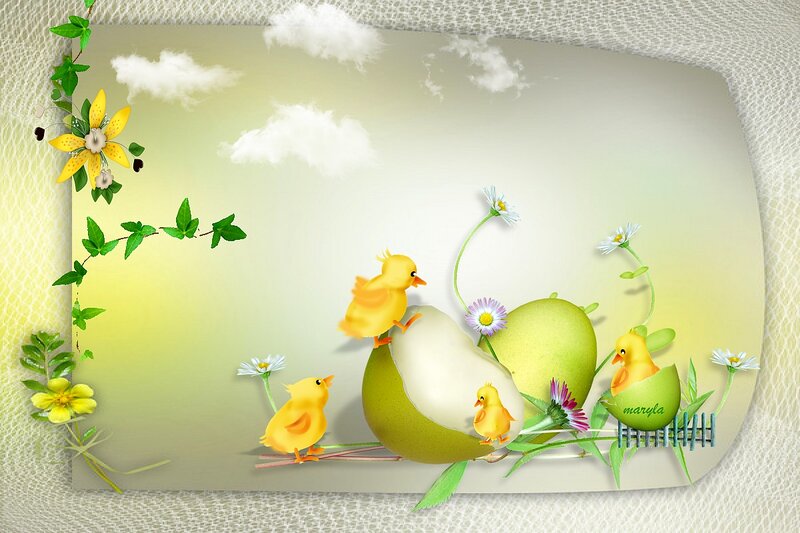 Chicks Hatching from Eggs — Yellow