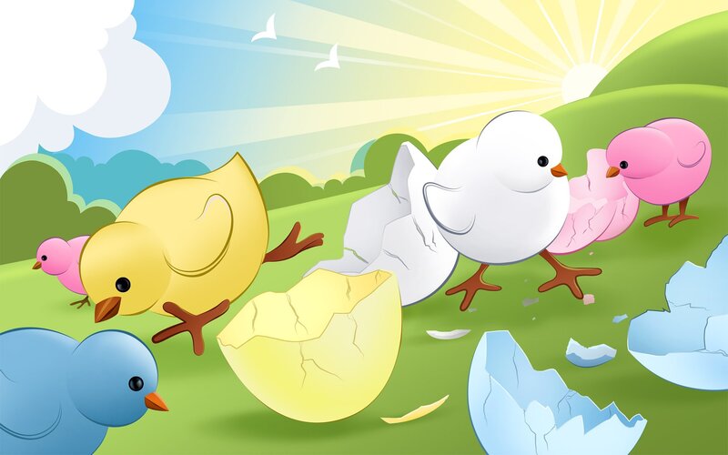 Chicks hatching on a sunny day