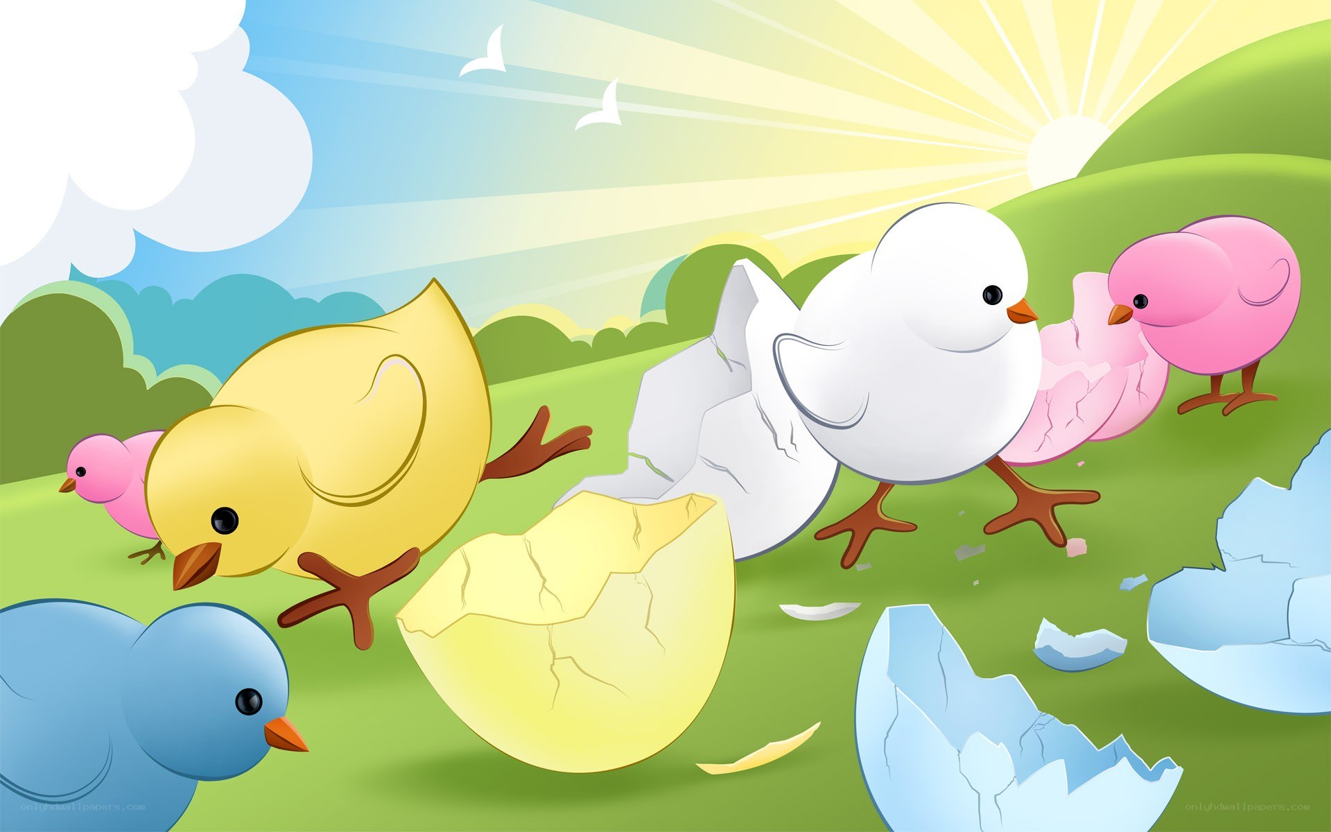 Chicks hatching on a sunny day