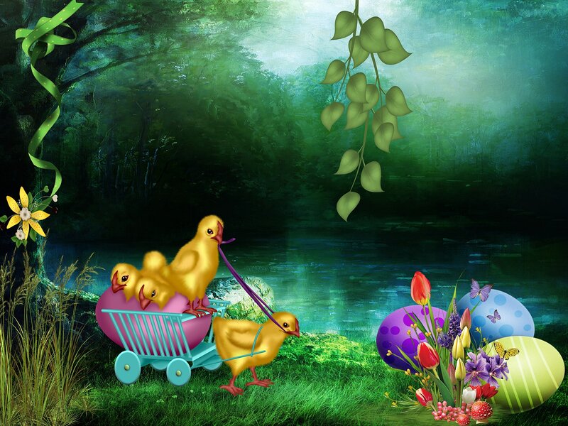 Chicks in a Cart