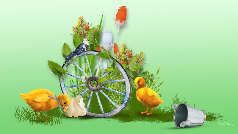 Chicks Near a Wheel