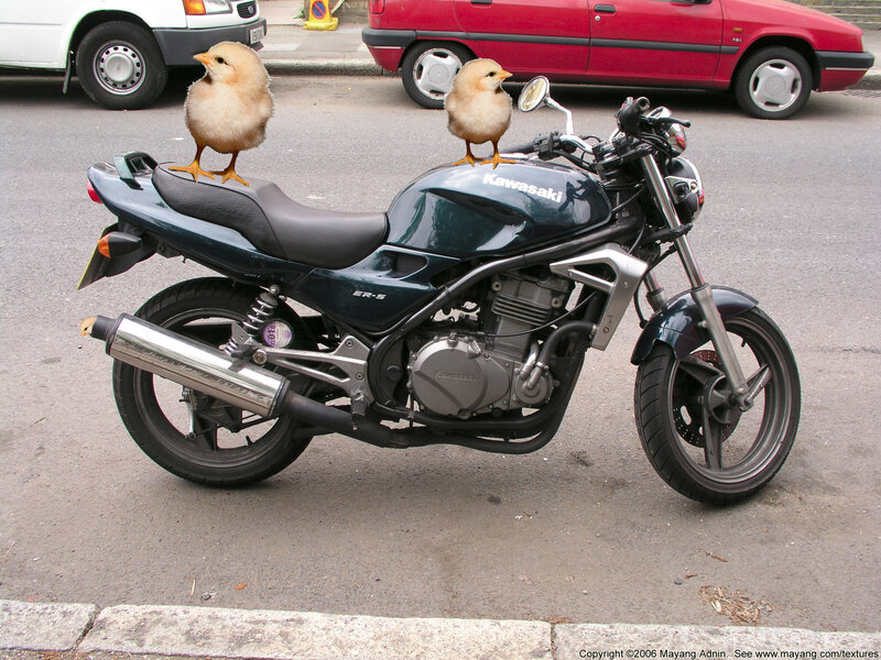 Chicks on a motorcycle