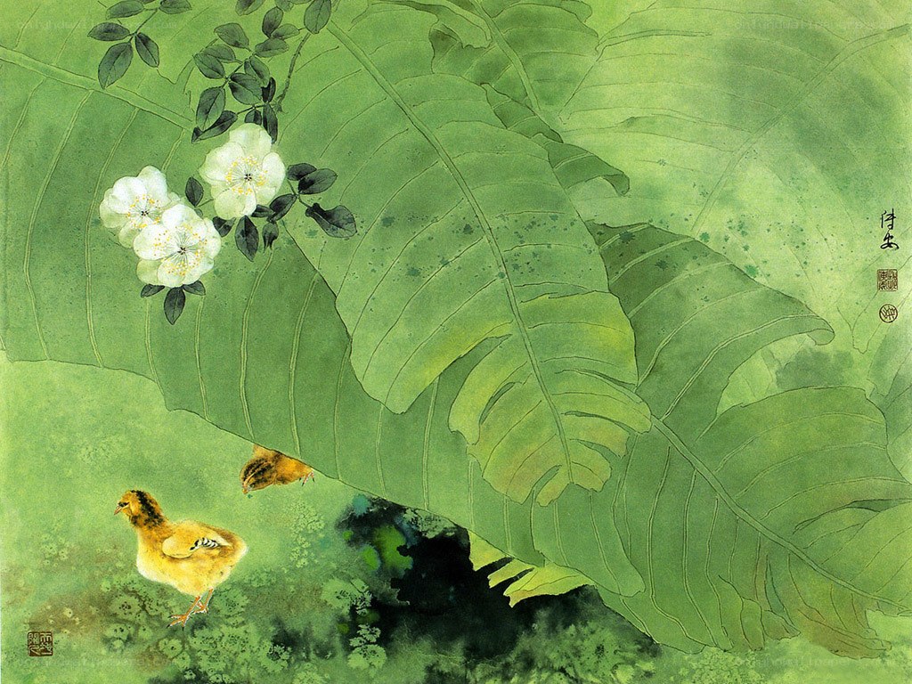 Chicks under a leaf