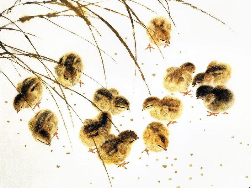 Chicks under a tree