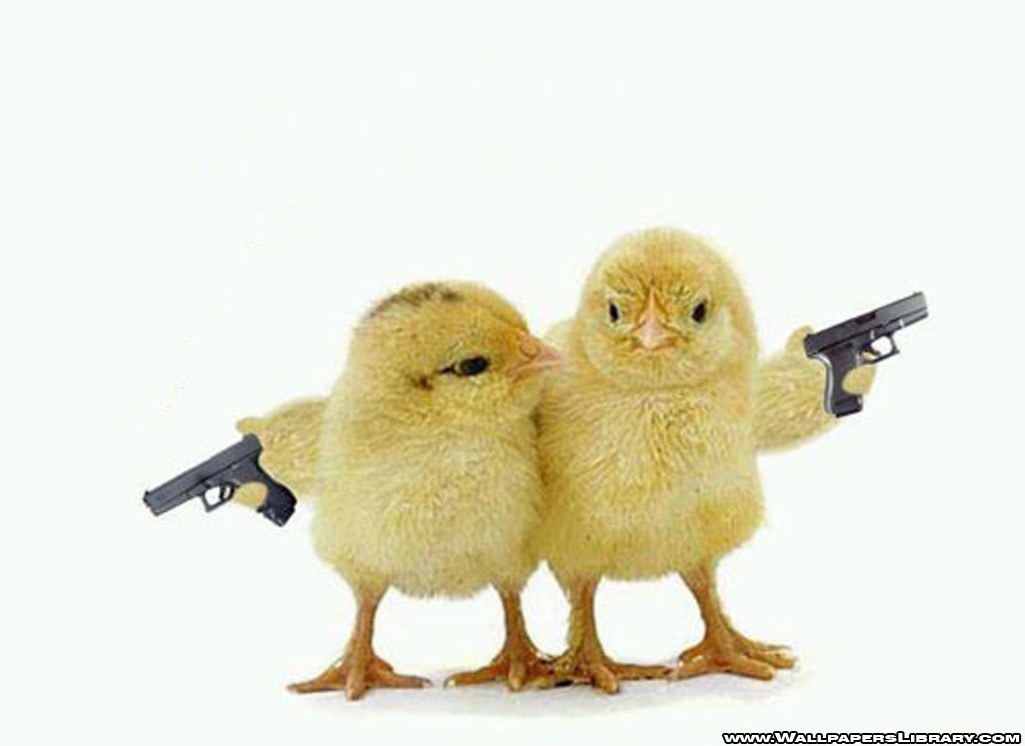 chicks with toy guns