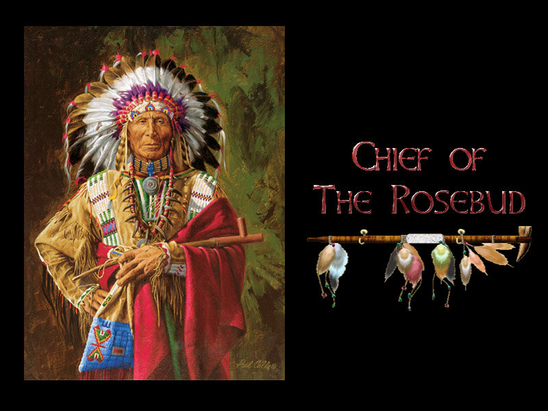 Chief in Feather Headdress