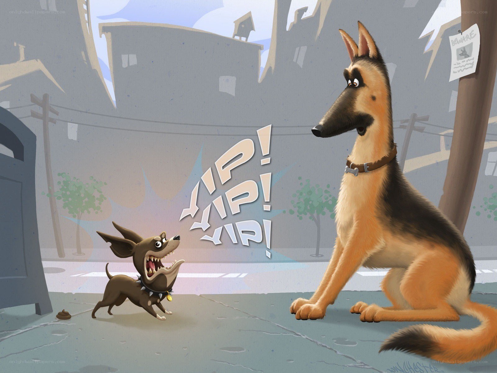 Chihuahua barking at German Shepherd