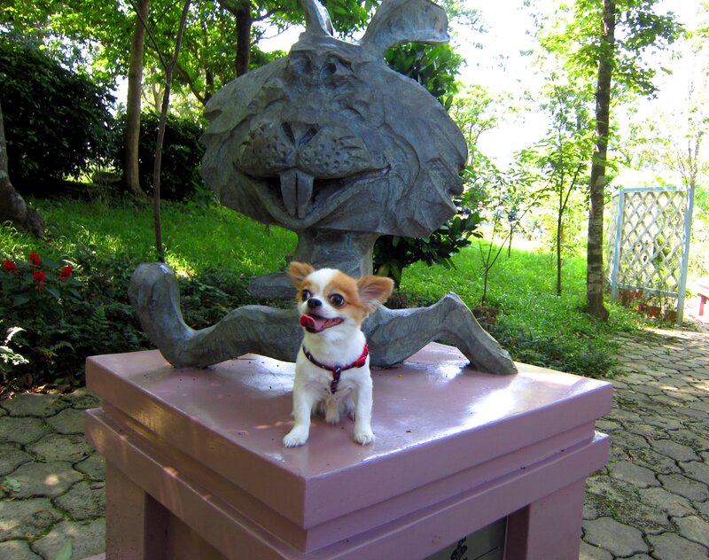 Chihuahua Dog on Statue