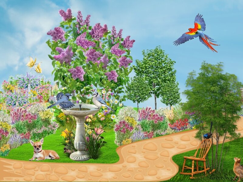 Chihuahua in Garden