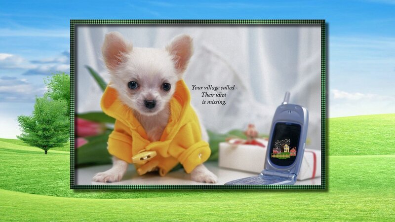 Chihuahua Puppy in Yellow