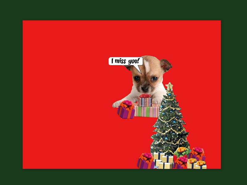 Chihuahua Puppy — Red