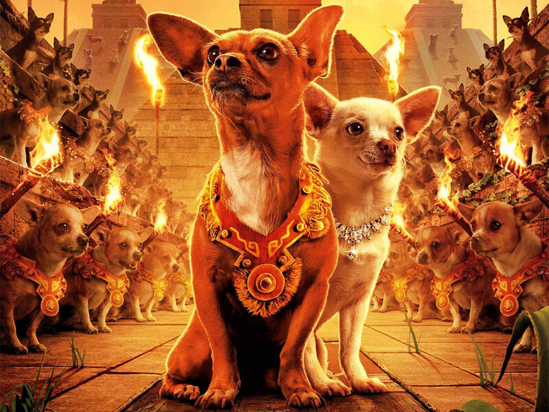 Chihuahuas in ancient setting