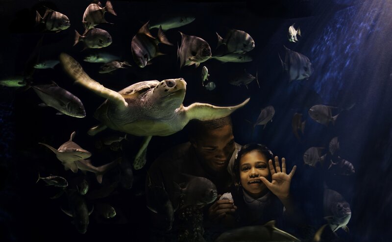 Child and Adult with Sea Turtle