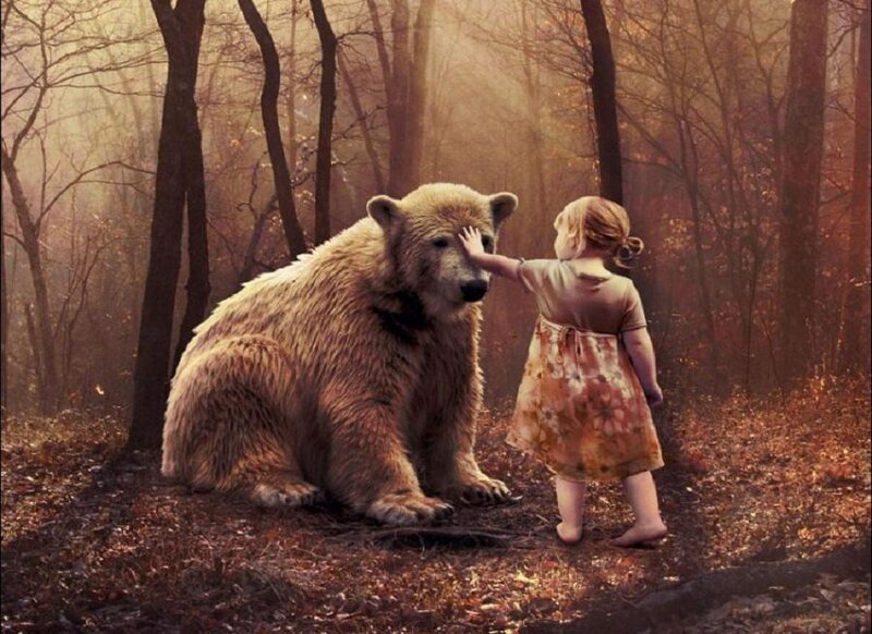 child and bear in forest