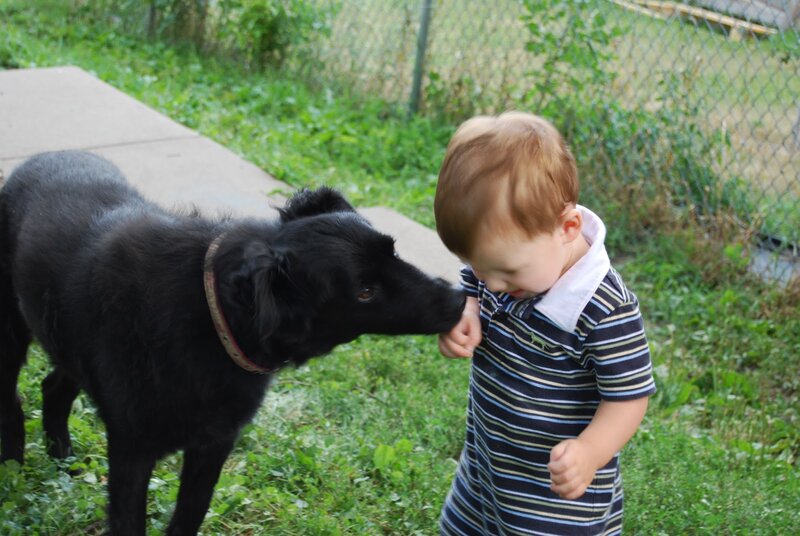 Child and Black Dog