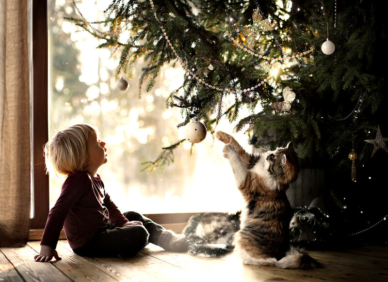 Child and Cat at Tree