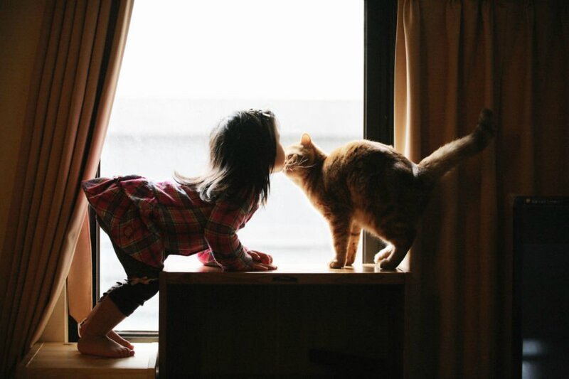 Child and Cat at Window — Brown