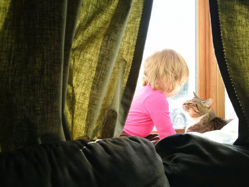 Child and Cat at Window — Green