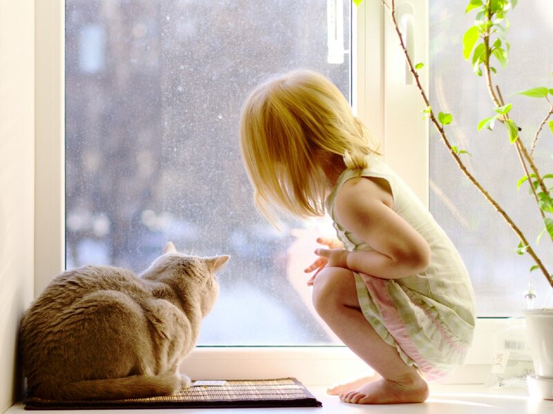 Child and Cat at Window — White, Calm