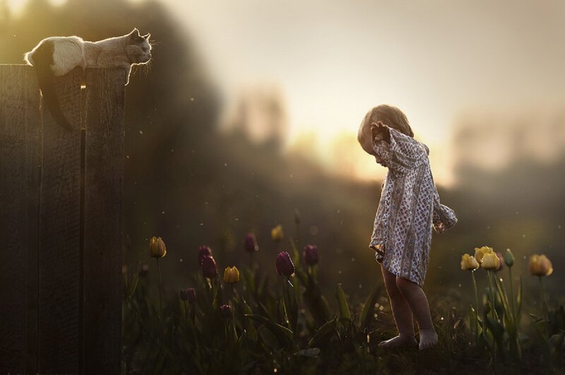 Child and Cat in Field