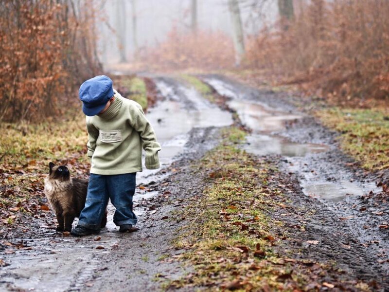 Child and cat on a muddy path