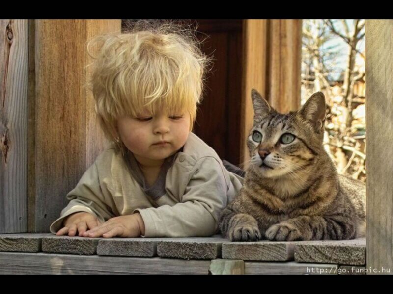 Child and cat on a porch
