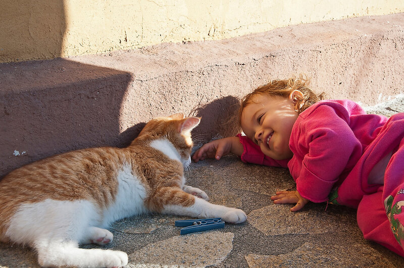 Child and Cat on Ground