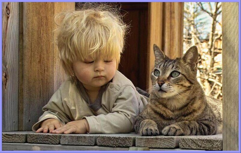 child and cat on porch