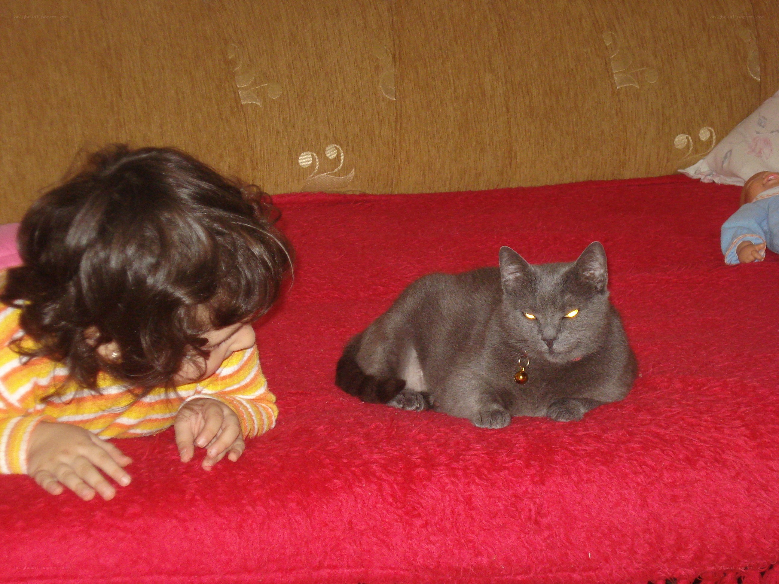 child and cat on red blanket