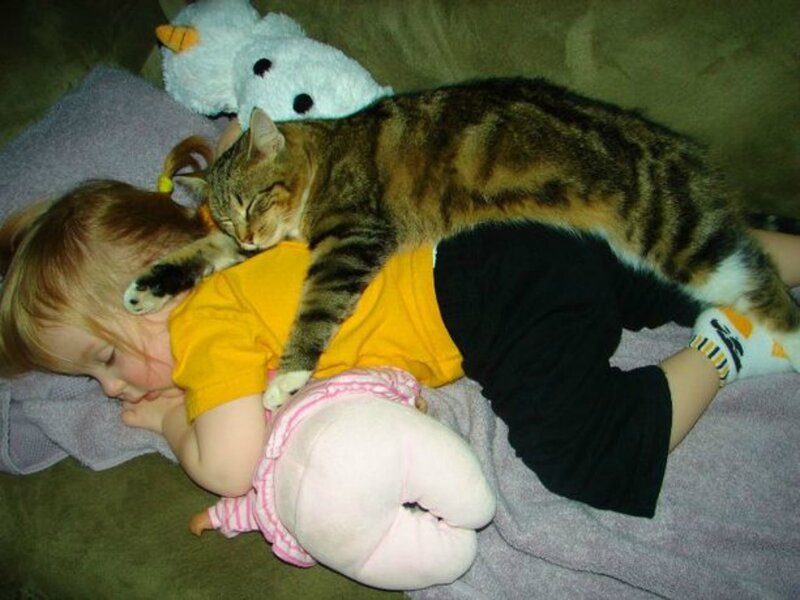Child and Cat Sleeping