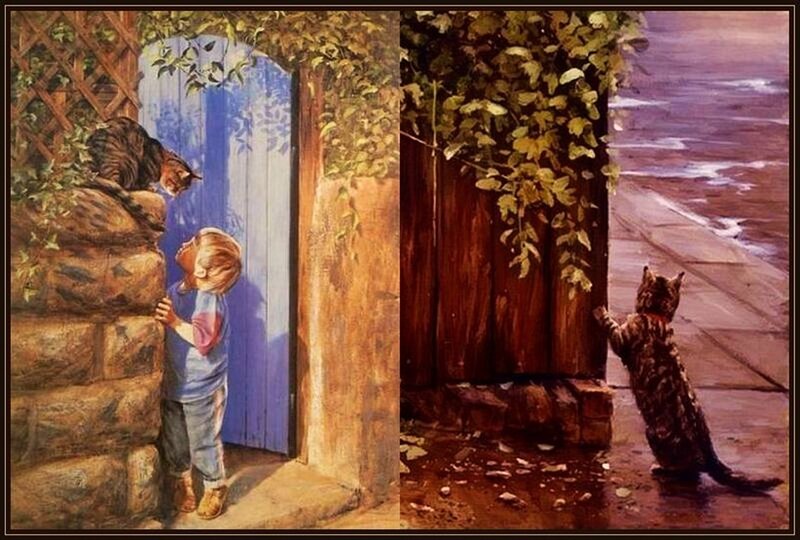Child and Cat