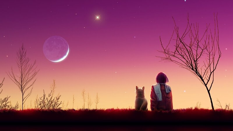 Child and cat under the moon